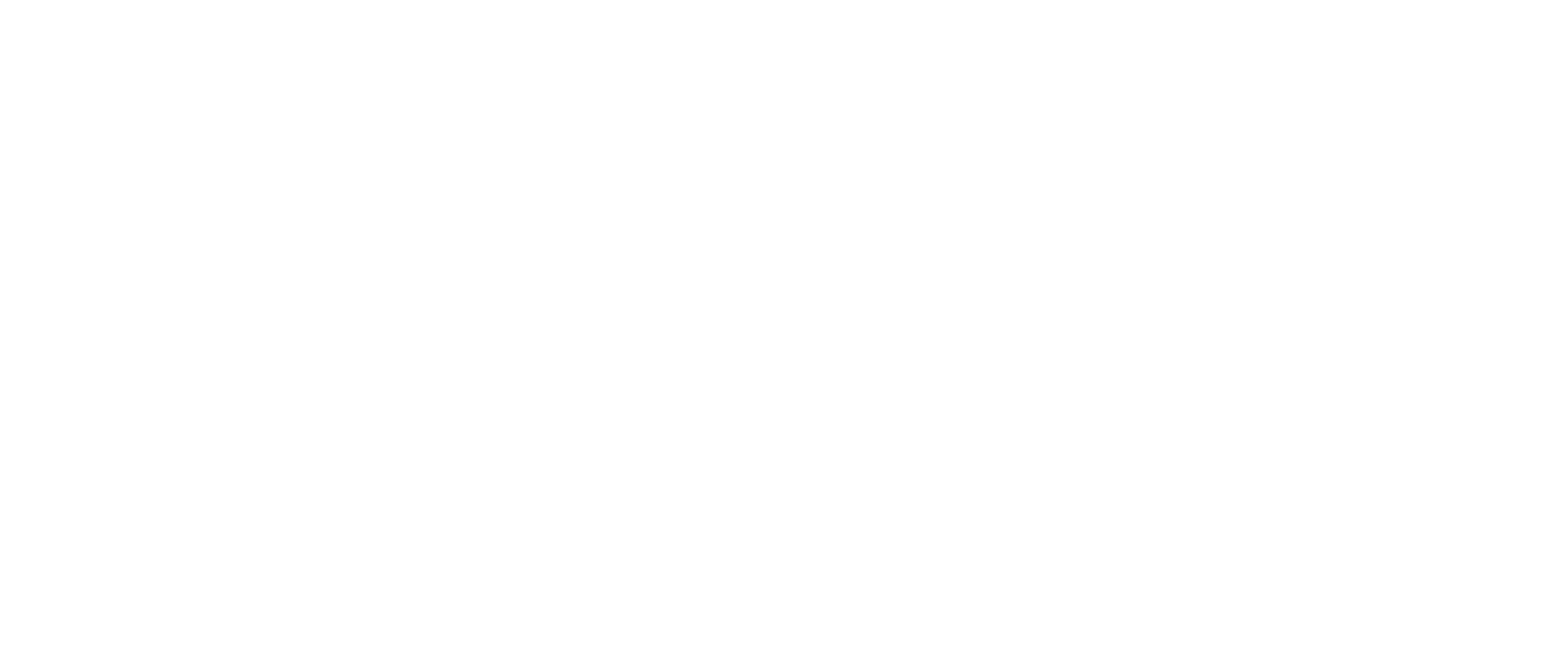 Tik Tok Logopng White 